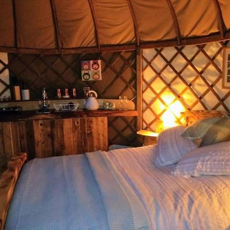 הוילה Bembridge Harbour Yurt - Log Burner - Wifi מראה חיצוני תמונה