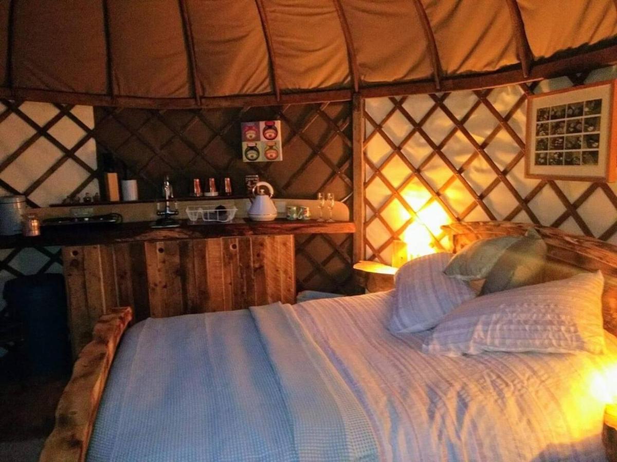 הוילה Bembridge Harbour Yurt - Log Burner - Wifi מראה חיצוני תמונה
